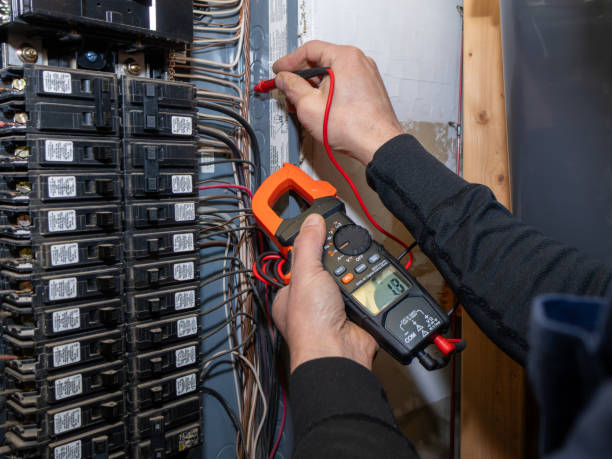 Best Electric Panel Repair  in Houghton, MI